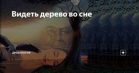 Трактовки сновидений