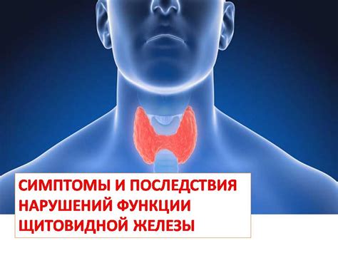 Улучшение функции щитовидной железы