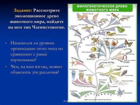 Универсальное эволюционное объяснение