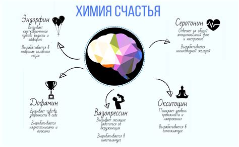 Физиология поцелуя