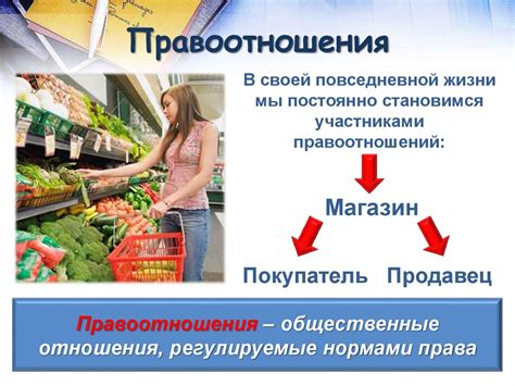 Франция: правовые нормы и особенности наказания