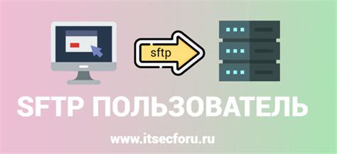 Шаг 2: Получение доступа к SFTP через панель управления