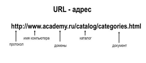 Шаг 5: Ввод URL-адреса узла налоговой в специальное поле