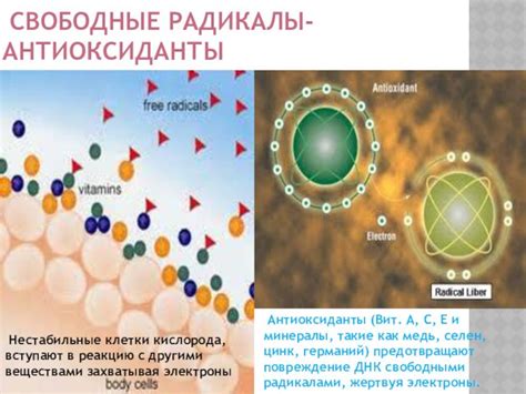 Антиоксиданты: боремся с вредными веществами