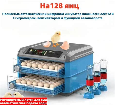 Воздействие влажности на инкубацию яиц