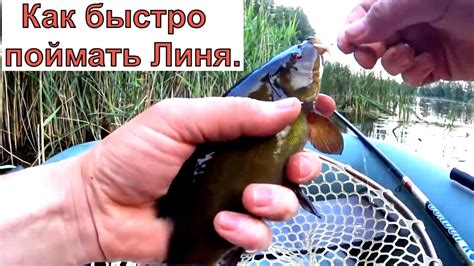 Выбор места для ловли
