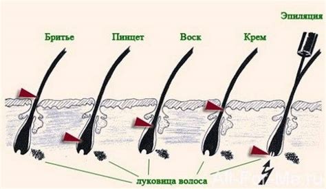 Генетические особенности роста волос на ногах у мужчин