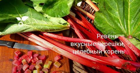 Использование замороженного ревеня в кулинарии