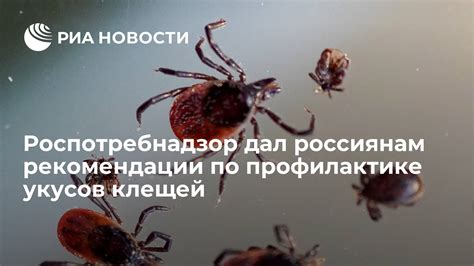 Медицинские кабинеты, предлагающие меры по профилактике укусов клещей: