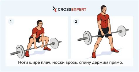 Можно ли делать становую тягу в день ног