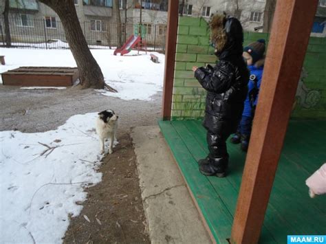Наблюдение за собакой после подачи глистогонного