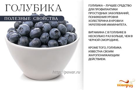 Полезные свойства голубики для организма кормящей мамы