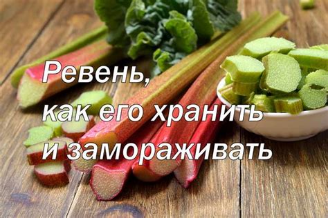 Преимущества замораживания ревеня
