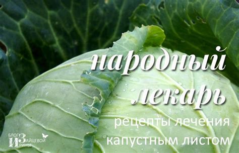 Преимущества использования капустного листа перед лекарствами