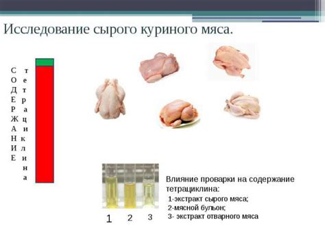 Проверка наличия антибиотиков в мясе