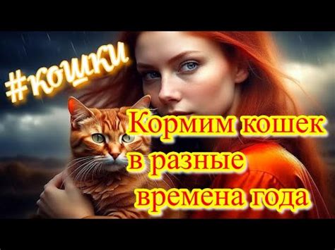 Рождение кошек в разные времена года