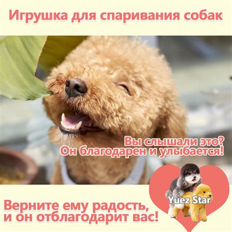 Свяжитесь с магазином