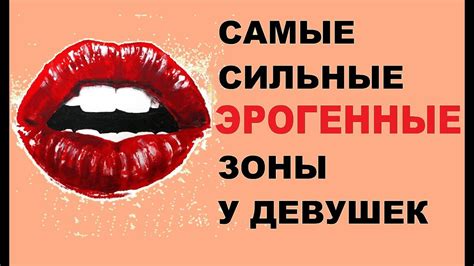 Сексуальная стимуляция и эрогенные зоны