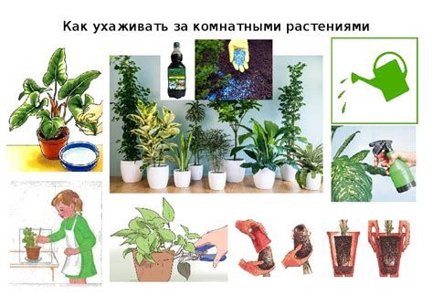 Советы по уходу за линолеумом на гидроизоляции