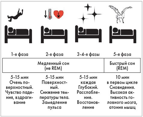 Средняя продолжительность сна агам