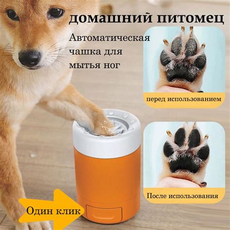Уход за лапами щенка