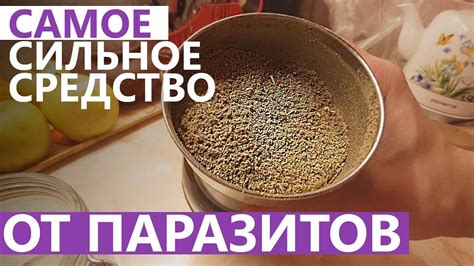 Эффективные домашние средства против глистов
