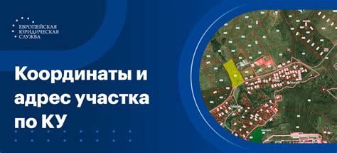 Эффективные способы определить владельца по кадастровому номеру
